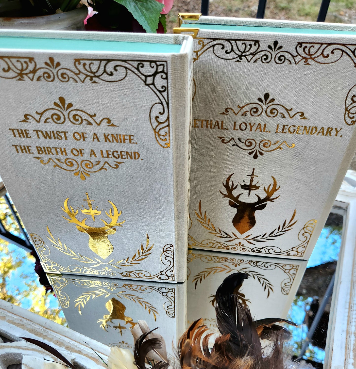Throne of Glass completed 8 book series pre-order