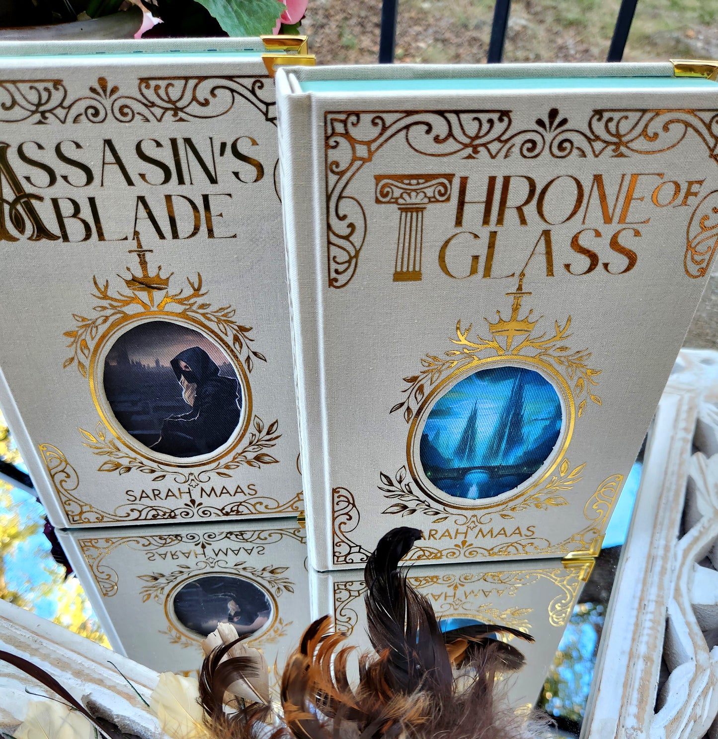 Throne of Glass completed 8 book series pre-order